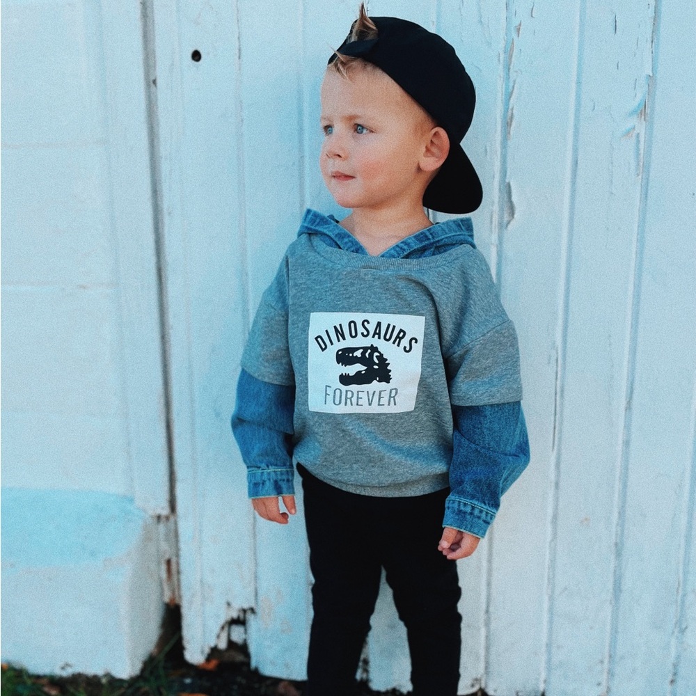 Dinosaur sweatshirt